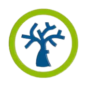 images-removebg-preview (1) images-removebg-preview (1)